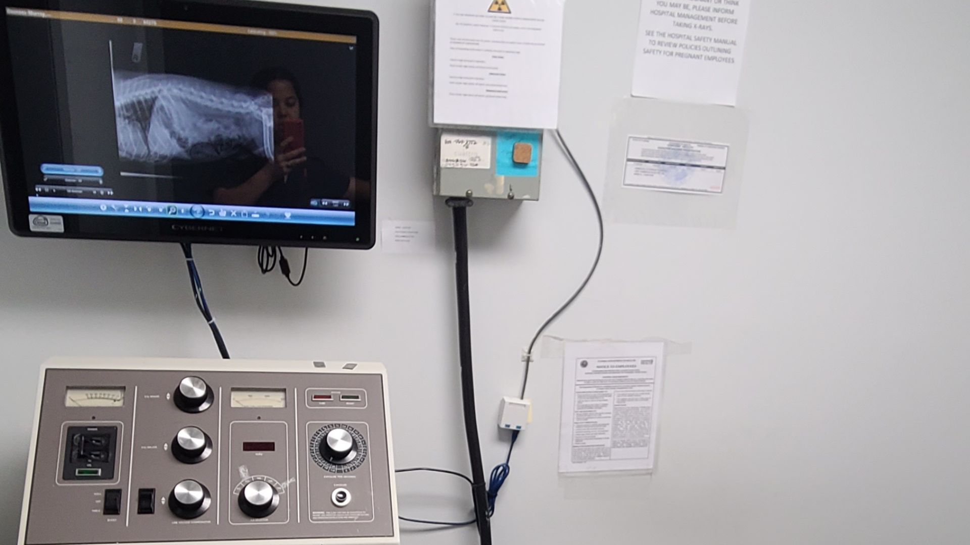 Pet Radiology In Miami, FL 33196 Hammocks Veterinary Hospital