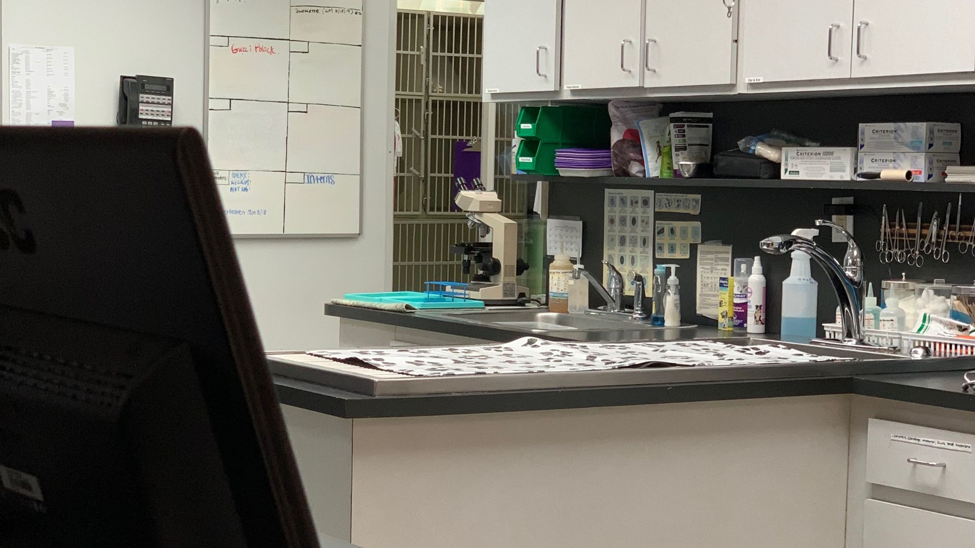 Miami, FL 33196 Veterinary Services Hammocks Veterinary Hospital