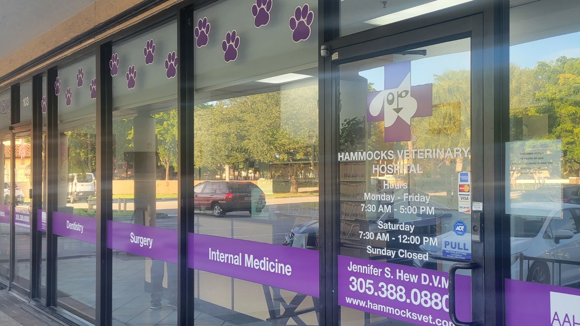 Veterinary Appointment In Miami, FL 33196 Hammocks Veterinary Hospital