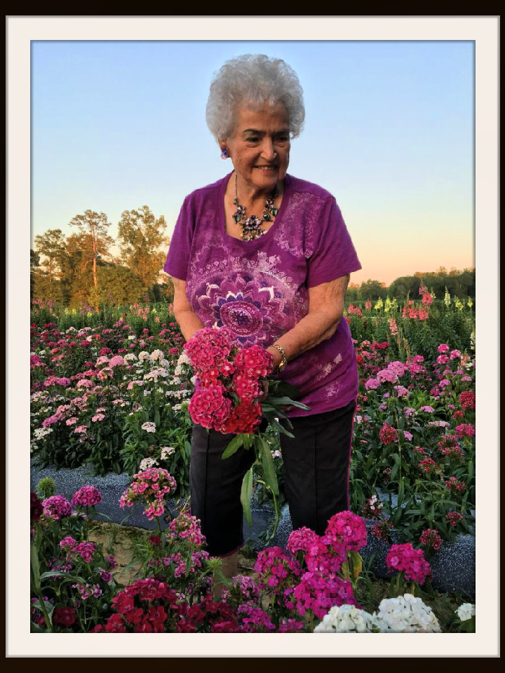 Field Grown Flowers Hammond Florist by John