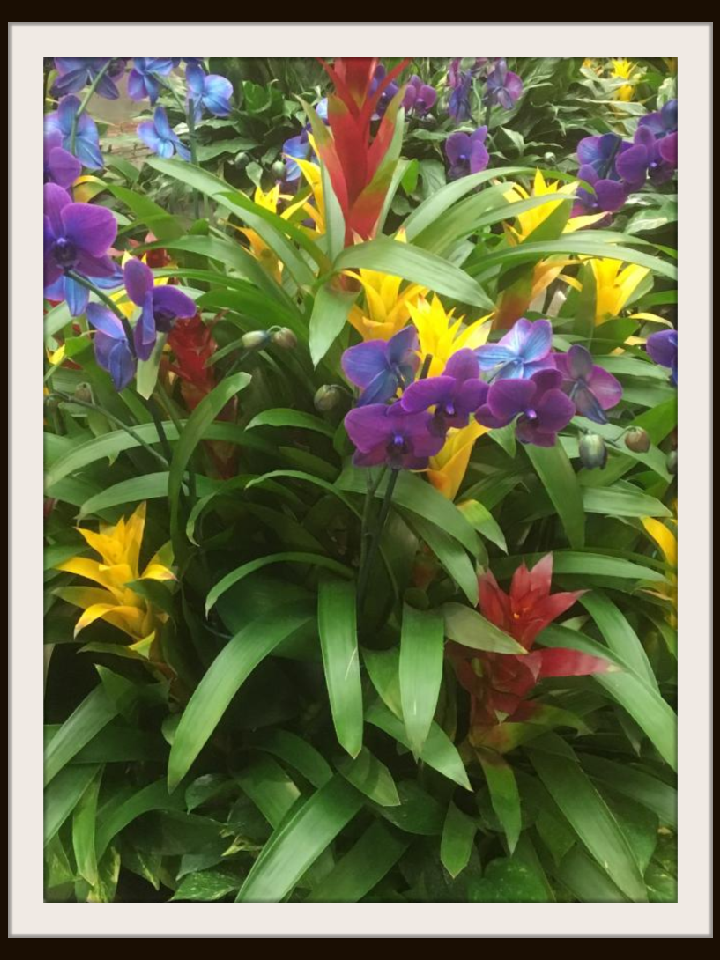 Plants Hammond Florist by John