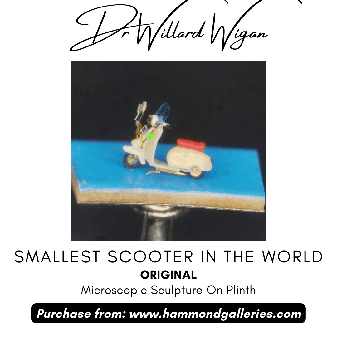 Dr Willard Wigan MBE Hammond Galleries