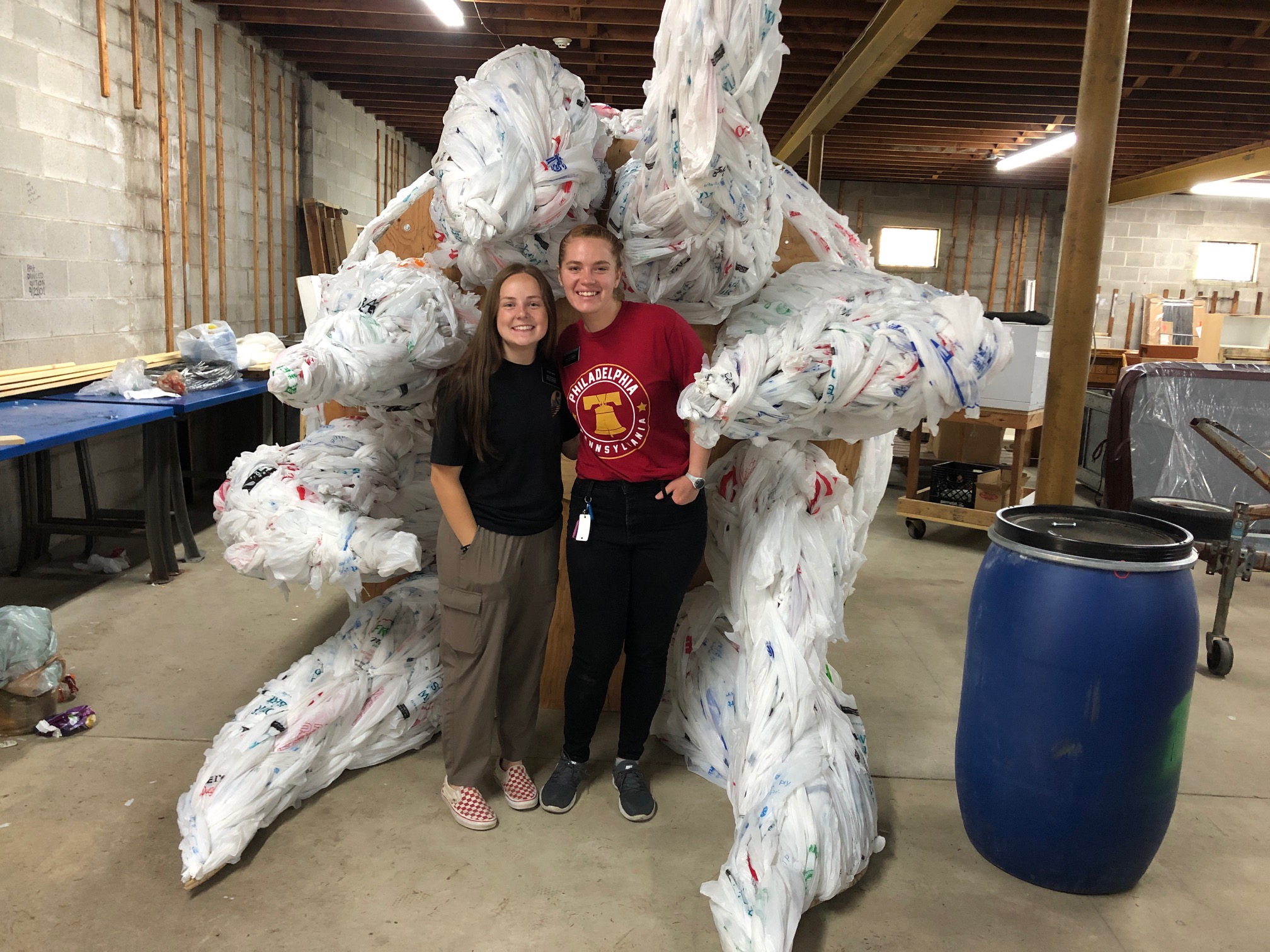 What is that thing? Hammonton Green Committee