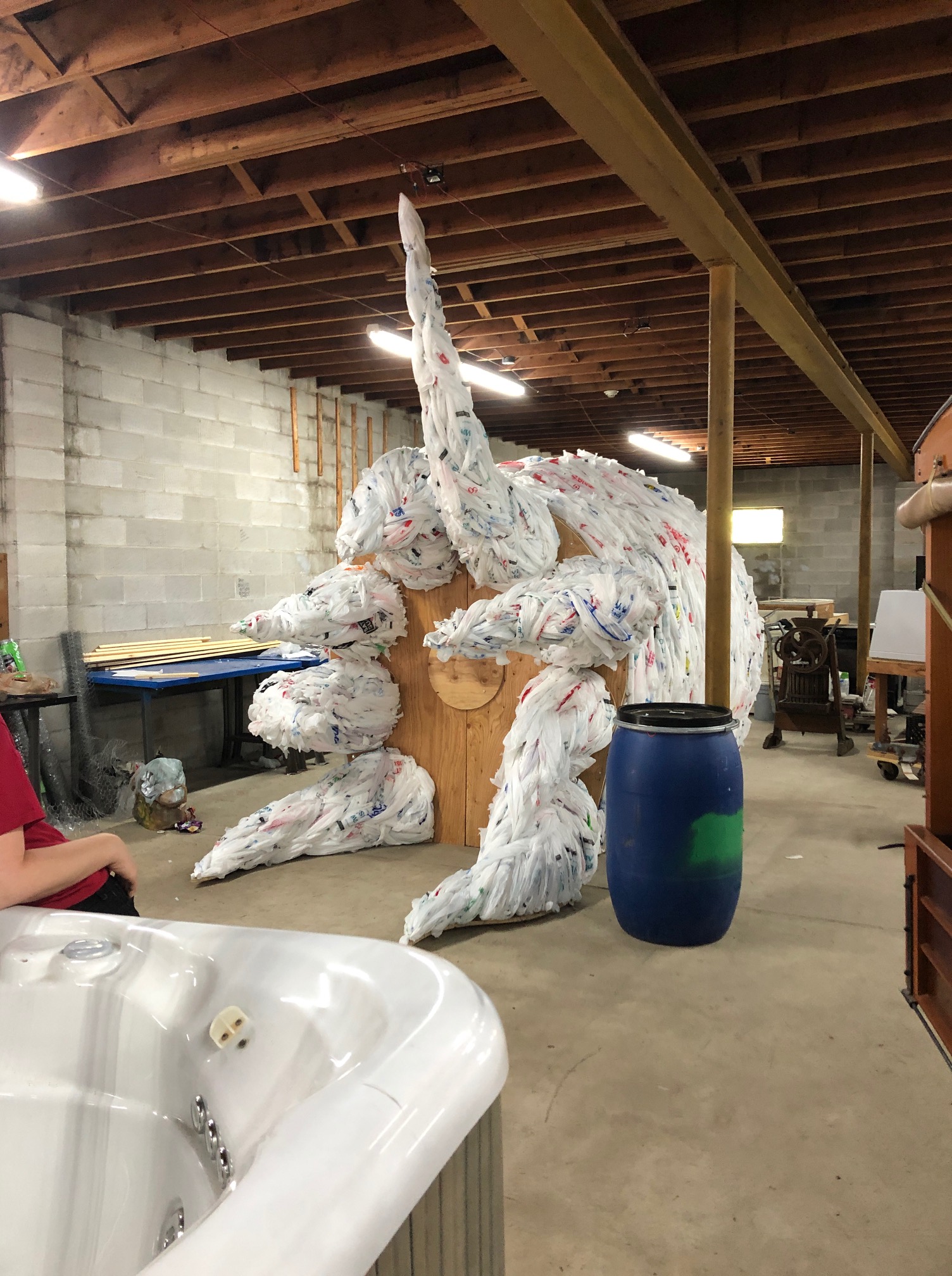 What is that thing? Hammonton Green Committee