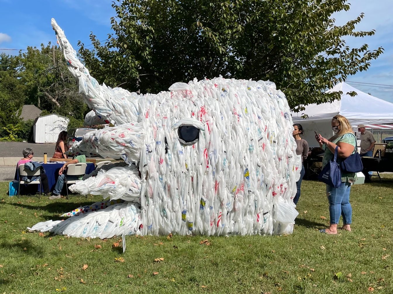 What is that thing? Hammonton Green Committee