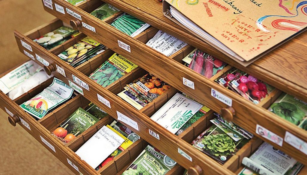 The Hammonton Seed Library Hammonton Green Committee