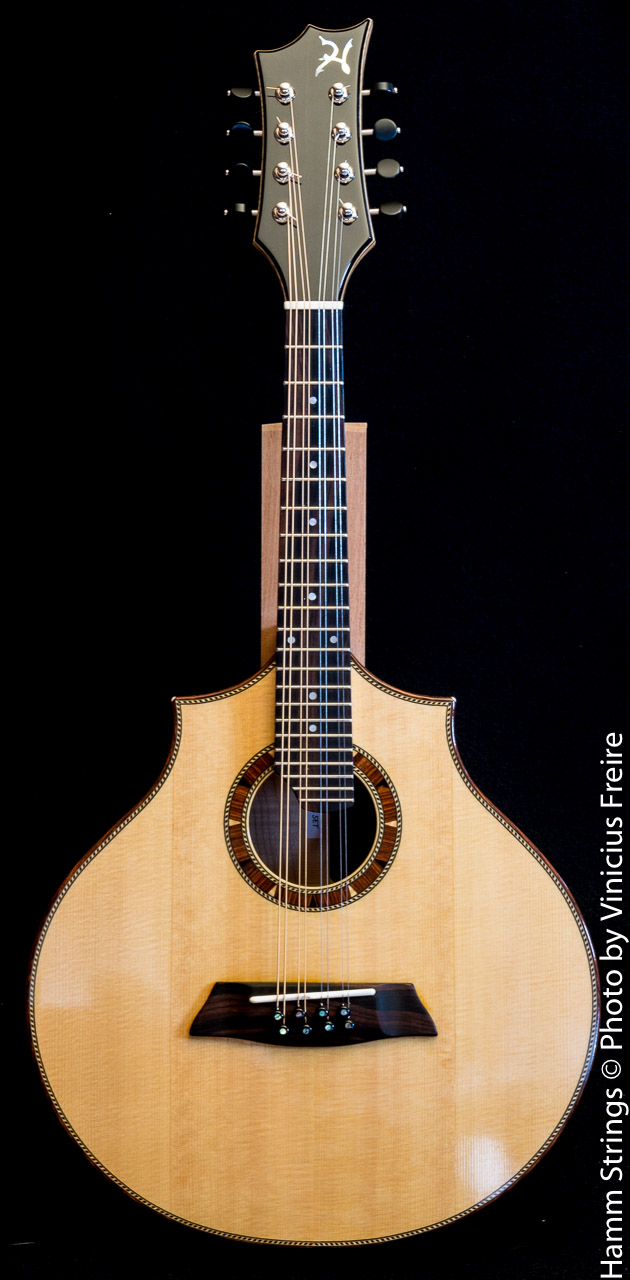 Celtic Mandolin by Hamm Strings Will Hamm Luthier