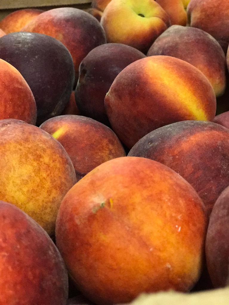 Photo Gallery Page 2 Ham Orchards Fresh Peaches Since 1979