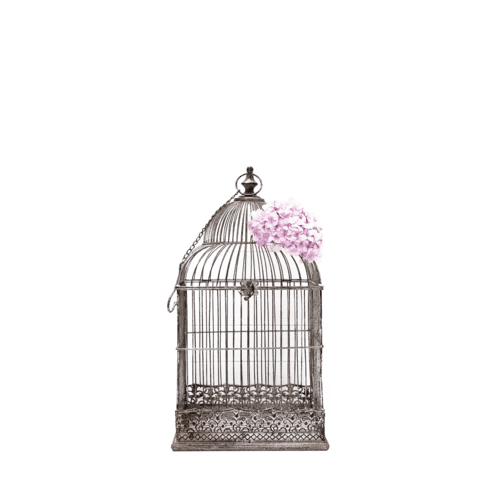 LARGE FRENCH BIRDCAGE Hire For Weddings & Events Hampton Event Hire