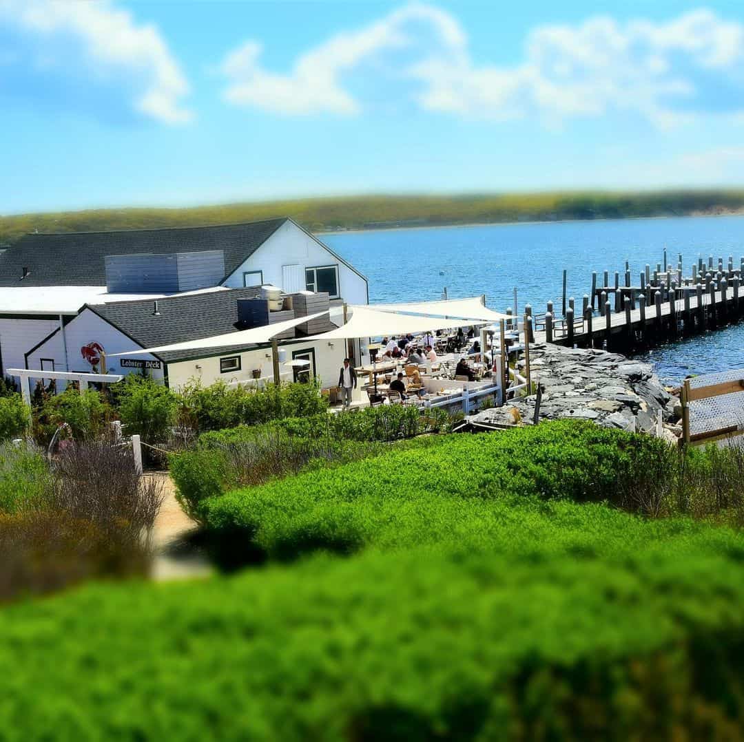 The Lobster Roll Guide to the Hamptons HAMPTONS SOCIAL