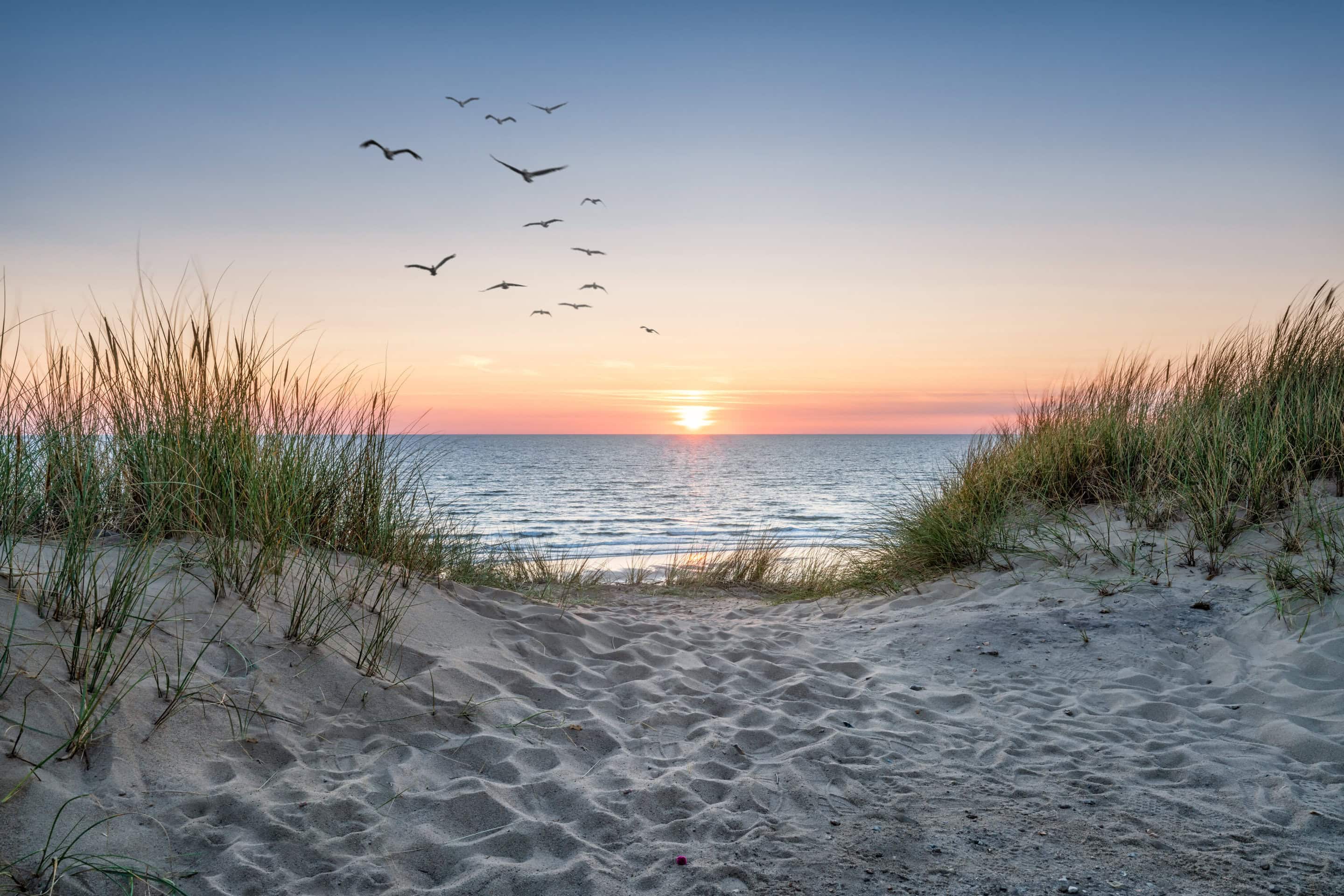 Top Hamptons Beaches