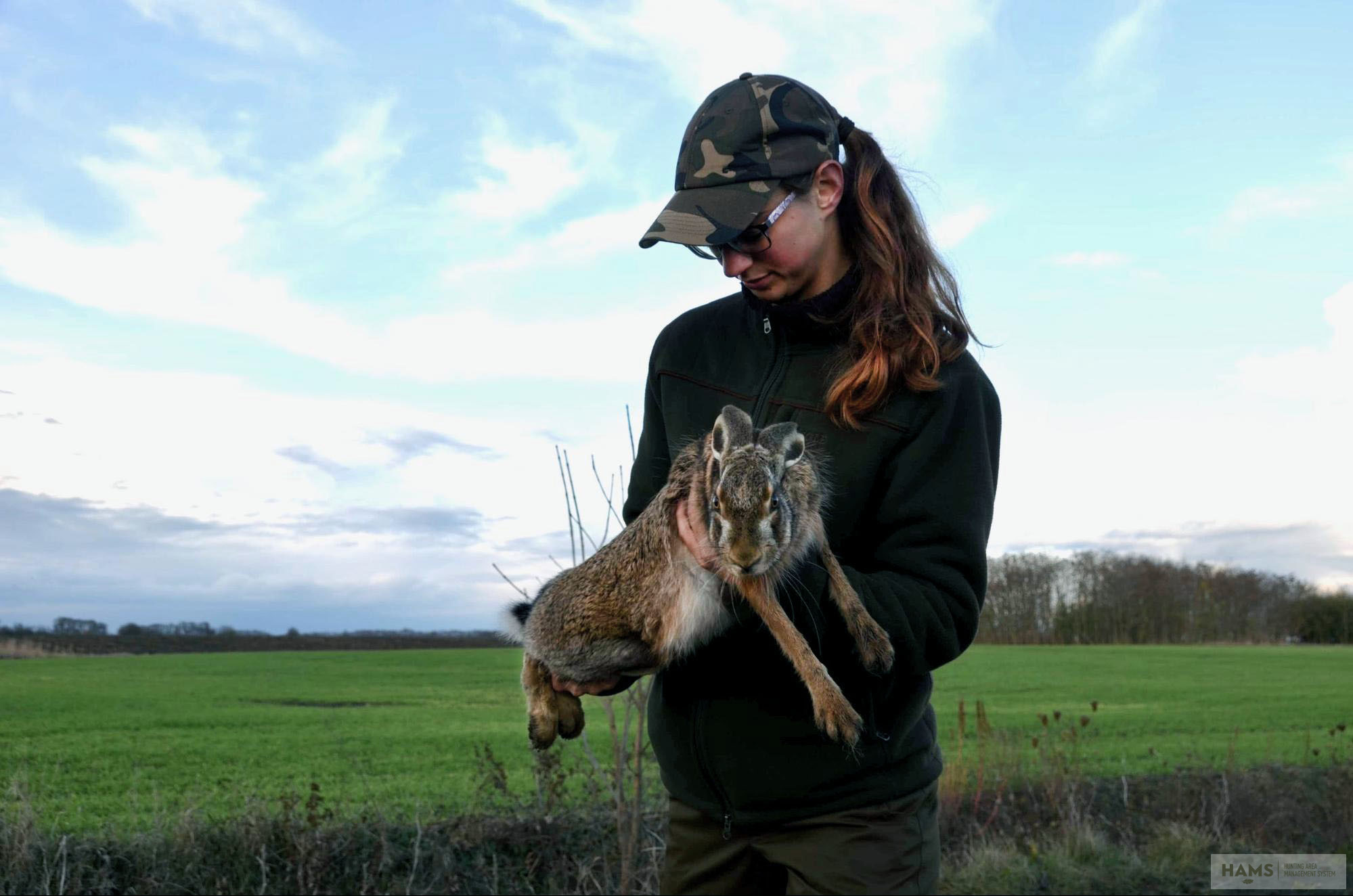 Hunting Lives Series // A day in the life of... A brown hare live capture