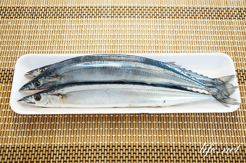 脂ののった新鮮な秋刀魚の見分け方。4つのポイントで選ぶだけ。