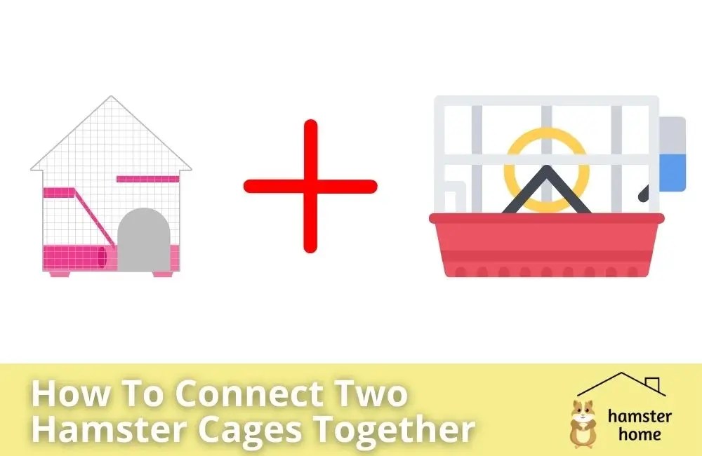 How To Connect Two Hamster Cages Together? • Hamster Home