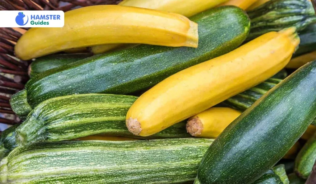 Can Hamsters Eat Zucchini? Understand the Pros and Cons