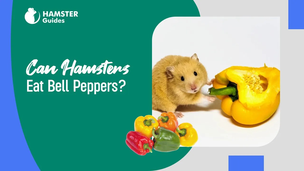 Can Hamsters Eat Bell Peppers? Safe Treats for Your Pets