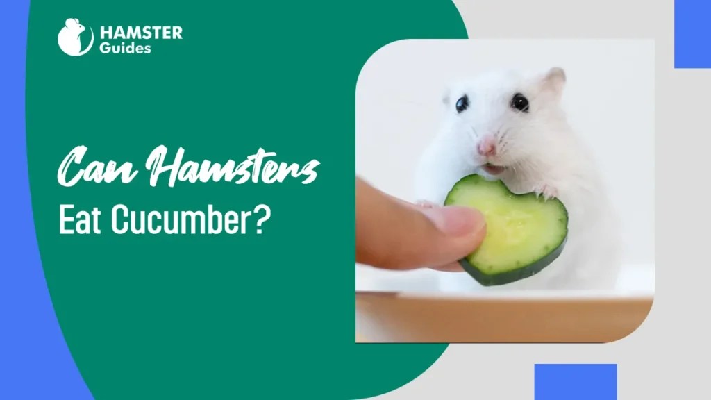 Can Hamsters Eat Strawberry Leaves? (Benefits and Safety)