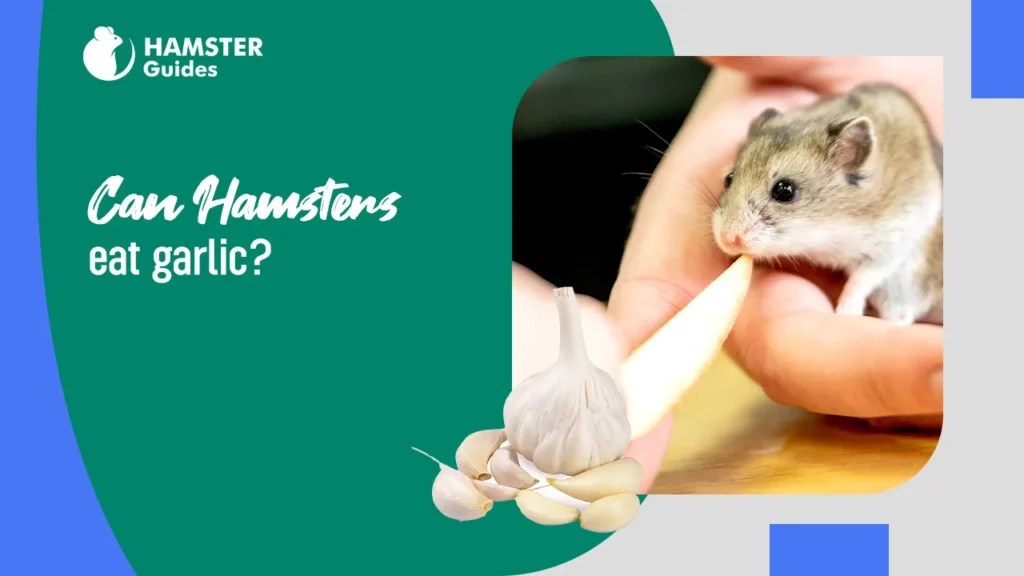 Can Hamsters Eat Pistachios? A Comprehensive Guide