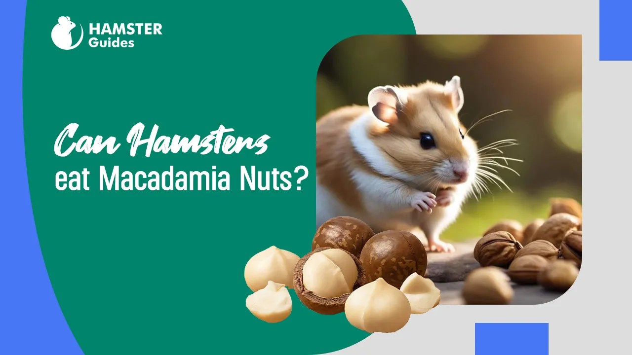 Can Hamsters Eat Macadamia Nuts? (Benefits, Facts and Risks)