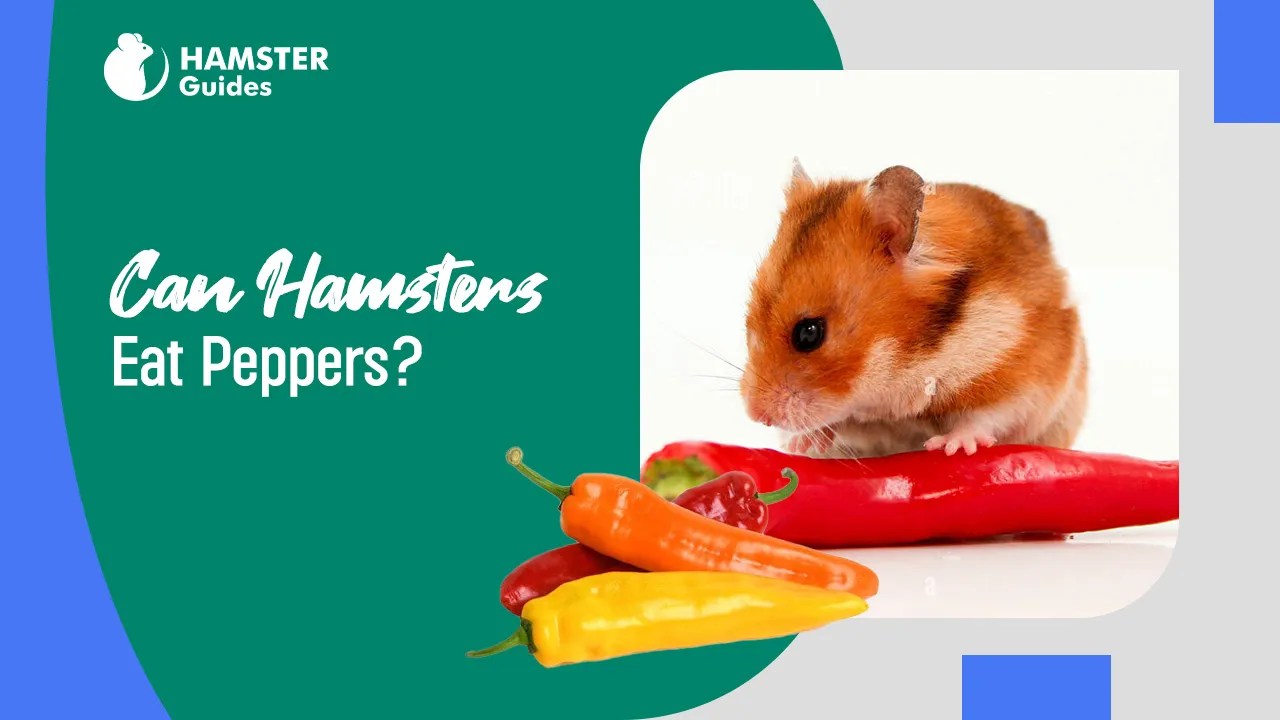 Can Hamsters Eat Peppers? Learn Safe Feeding Guidelines