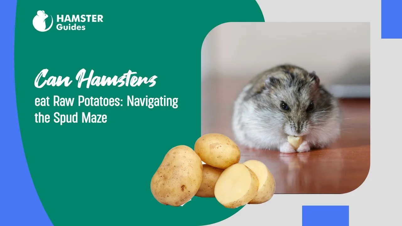 Can Hamsters Eat Raw Potatoes? Navigating the Spud Maze
