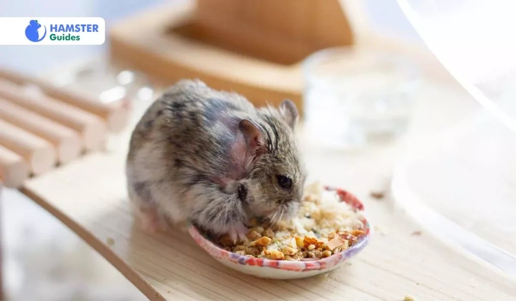 Can Hamsters Eat Coconut? (Safe Feeding & Health Benefits)
