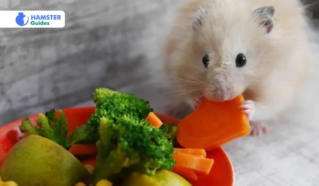 How To Take Care Of A Hamster? Comprehensive Guide