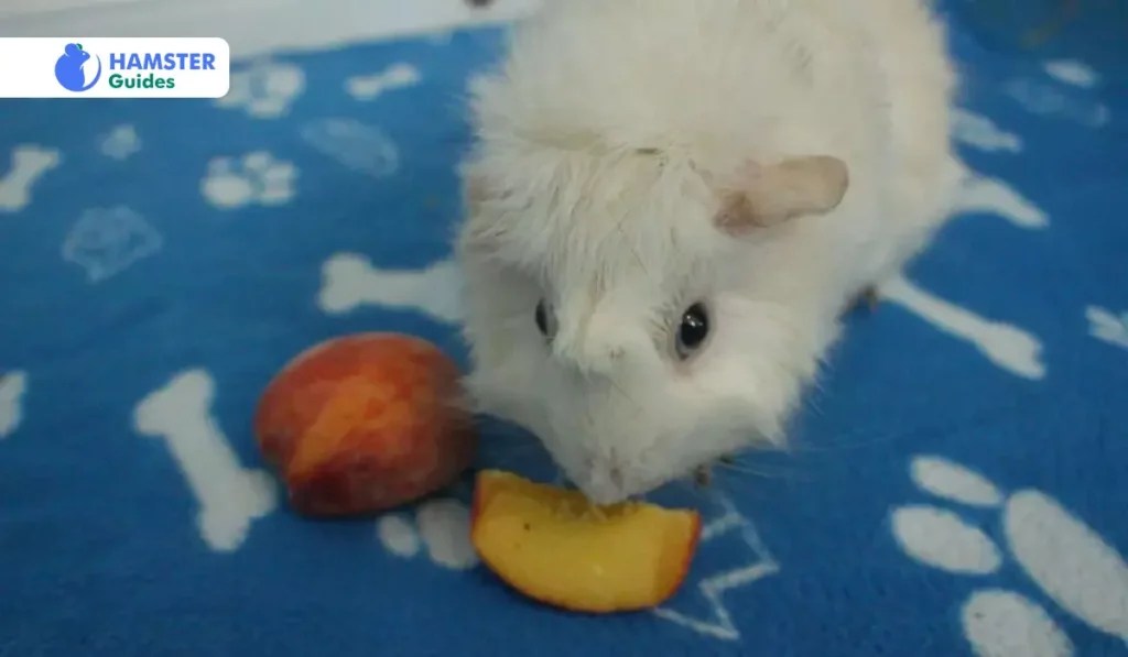 Can Hamsters Eat Nectarines? (Safe Treats and Dietary Tips)