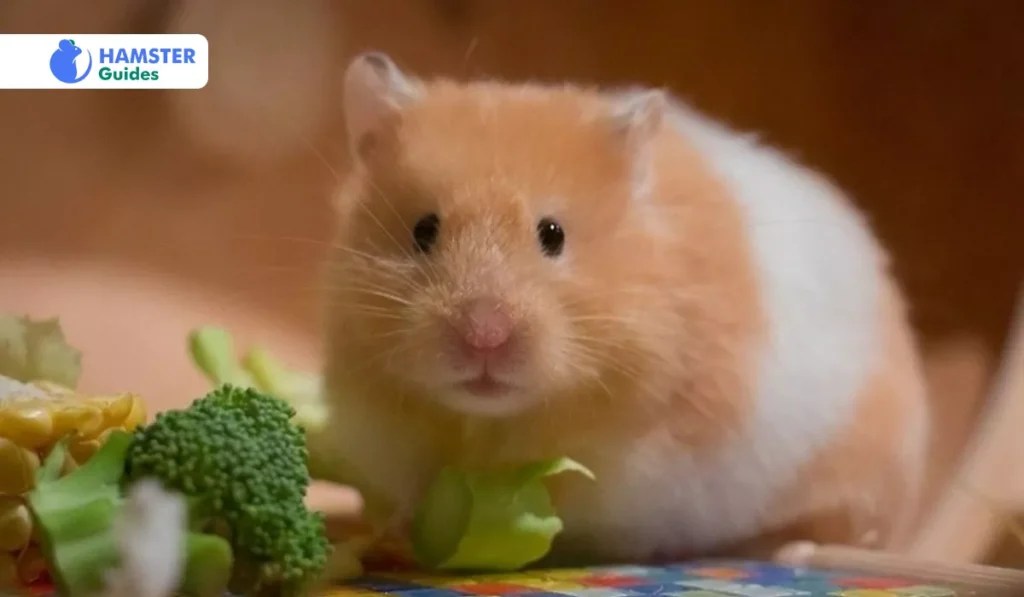 Can Hamsters Eat Strawberry Leaves? (Benefits and Safety)