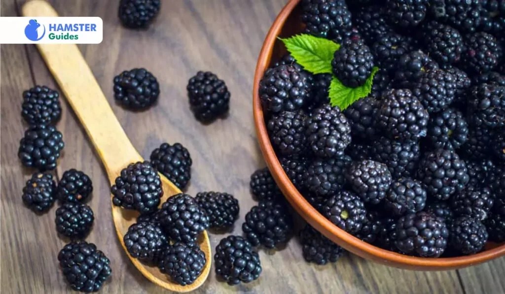 Can Hamsters Eat Blackberries? A Comprehensive Guide