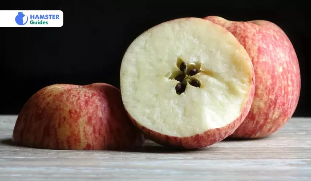 Can Dwarf Hamsters Eat Apples? A Complete Nutritional Guide