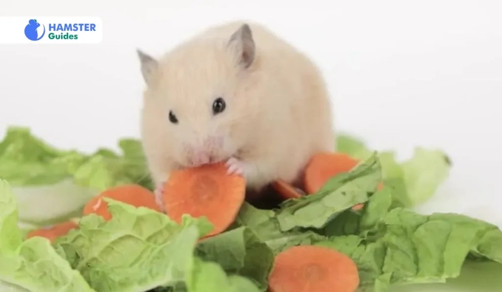 Can Hamsters Eat Peppers? Learn Safe Feeding Guidelines