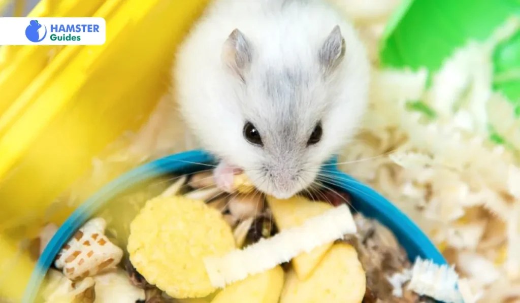Can Hamsters Eat Raw Potatoes? Navigating the Spud Maze