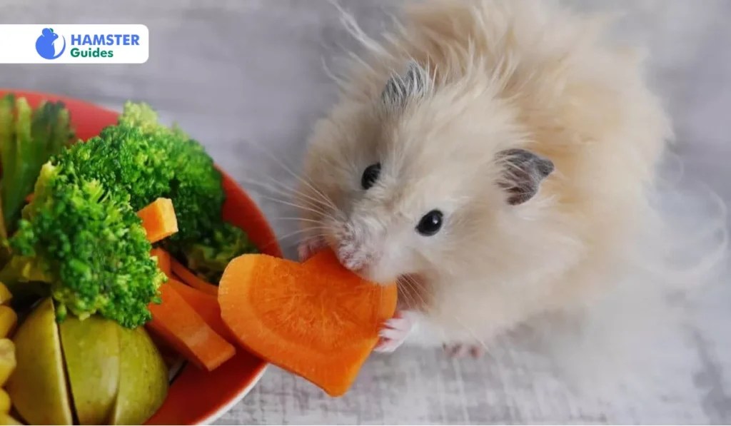 Can Hamsters Eat Sweet Potatoes? Benefits and Risks (2024)