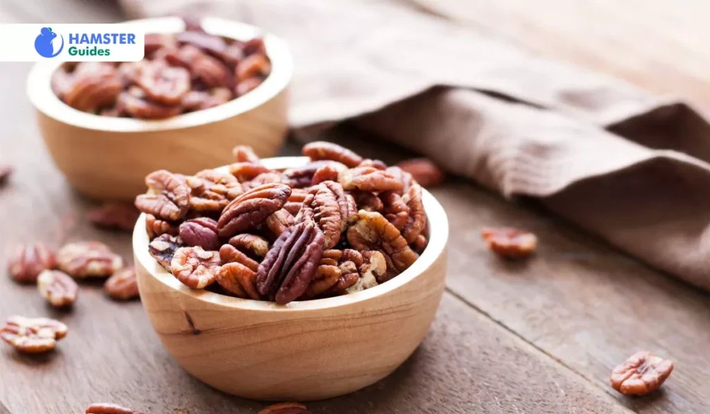 Can Hamsters Eat Pecans? (Nutritional Guide & Risks to Know)