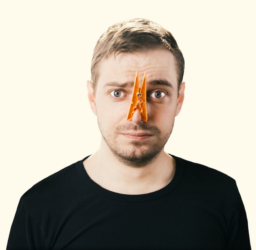 Do Hamsters Smell? A DataBacked Answer Hamsteropedia