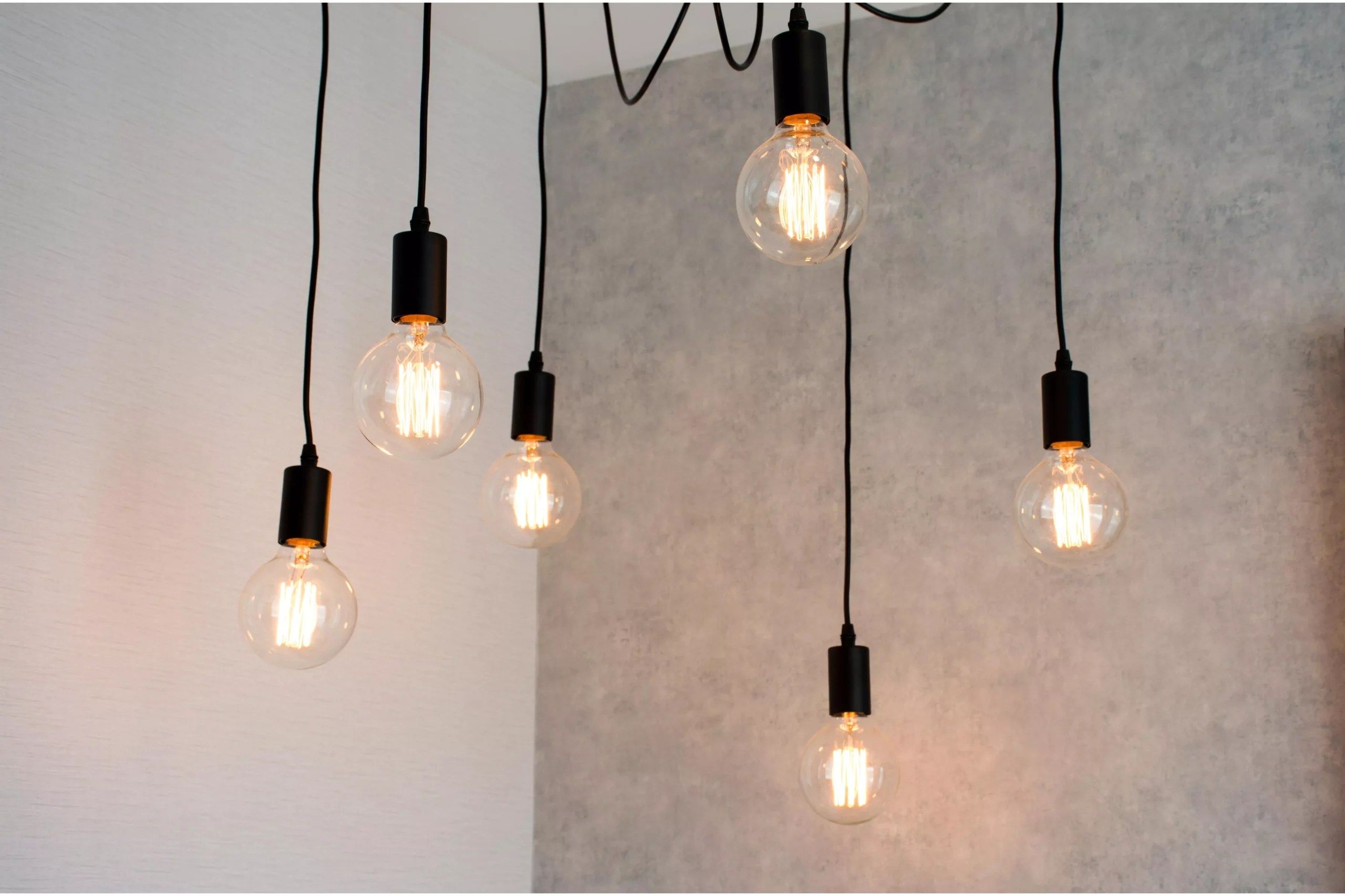 Do Hamsters Need Light? (Most Common Hamster Light Needs)