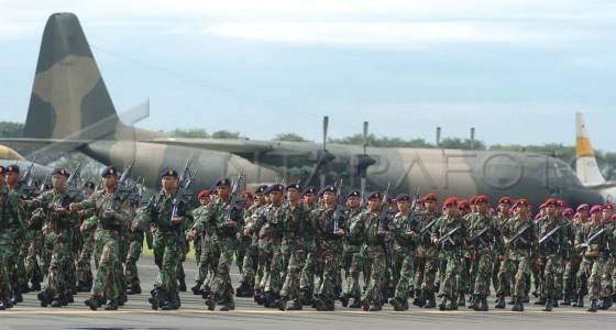 TNI-ku, Kembalilah Jadi Macan Asia ! | Hamzah73’s Blog