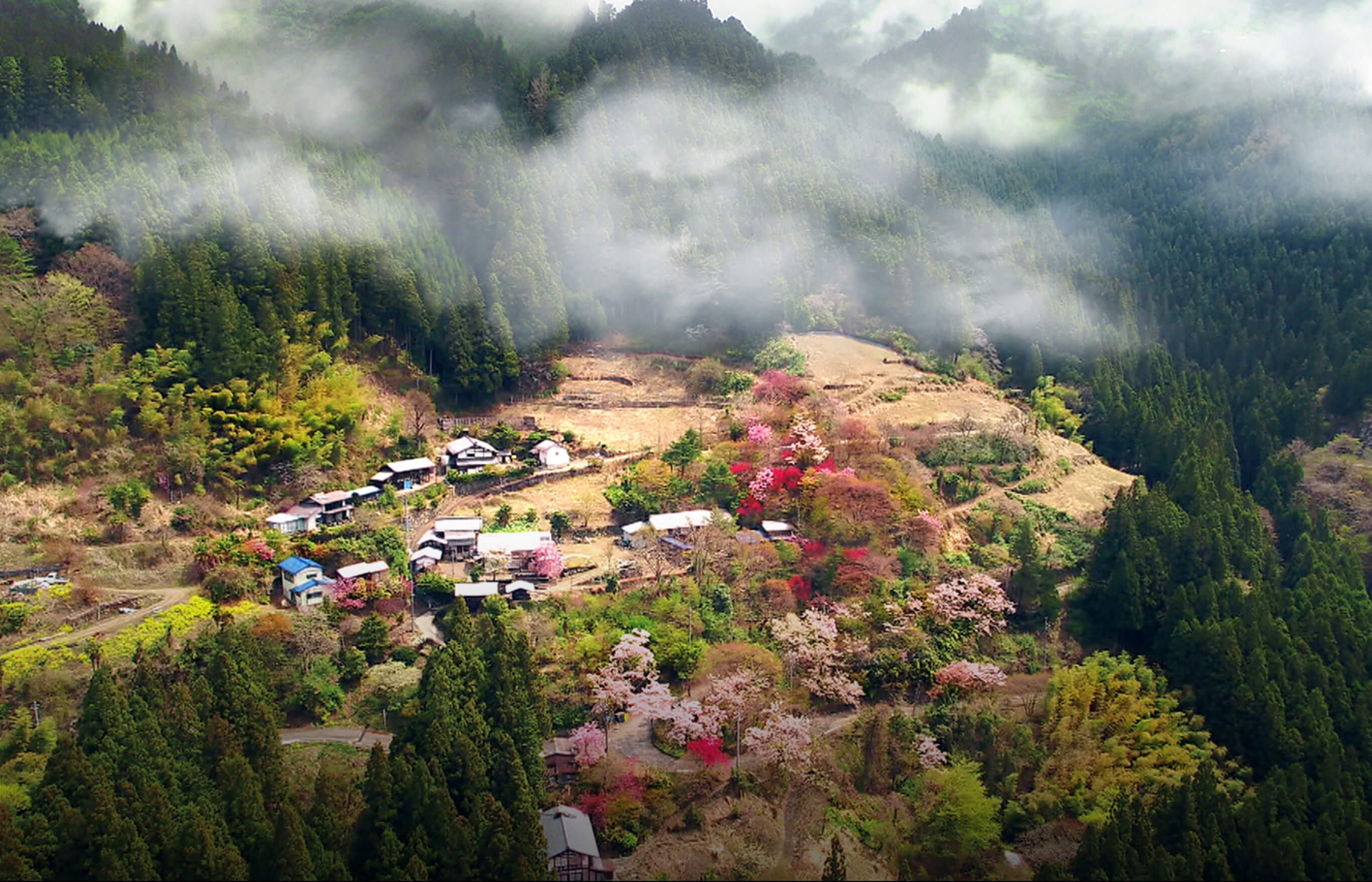 秩父山中 花のあとさき、今は誰もいない。 太田部楢尾。 花は自分で咲くしか・・。 環境は誰かが・・。～秩父市吉田～ 他 (2019/10/7) | キャンピングカーで放浪の旅 Ⅱ 映画『花のあとさき ムツばあさんの歩いた道』公式サイト