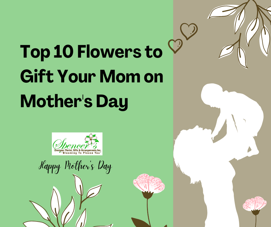 Mother's Day Gift Ideas 10 Flowers to Give Your Mother Spencers Florist