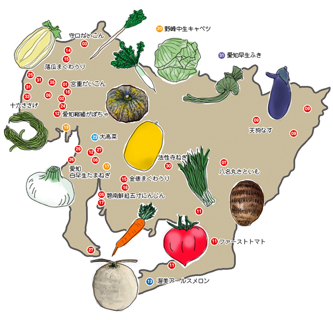 へぇ〜、そうだったの!? 「あいちの伝統野菜」 花ごころメディア 花ごころ