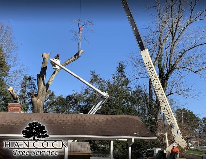 Crane Service Hancock Tree Service