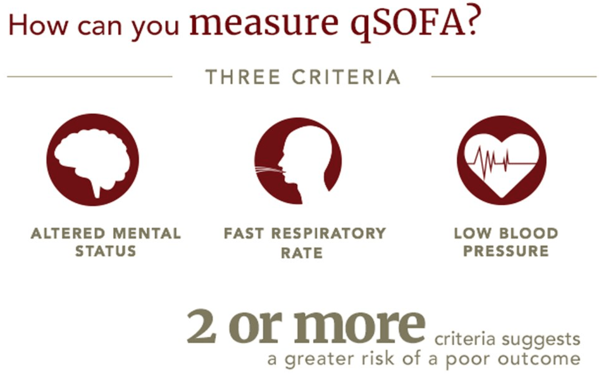 40+ Qsofa Sepsis 3 Pics sofa