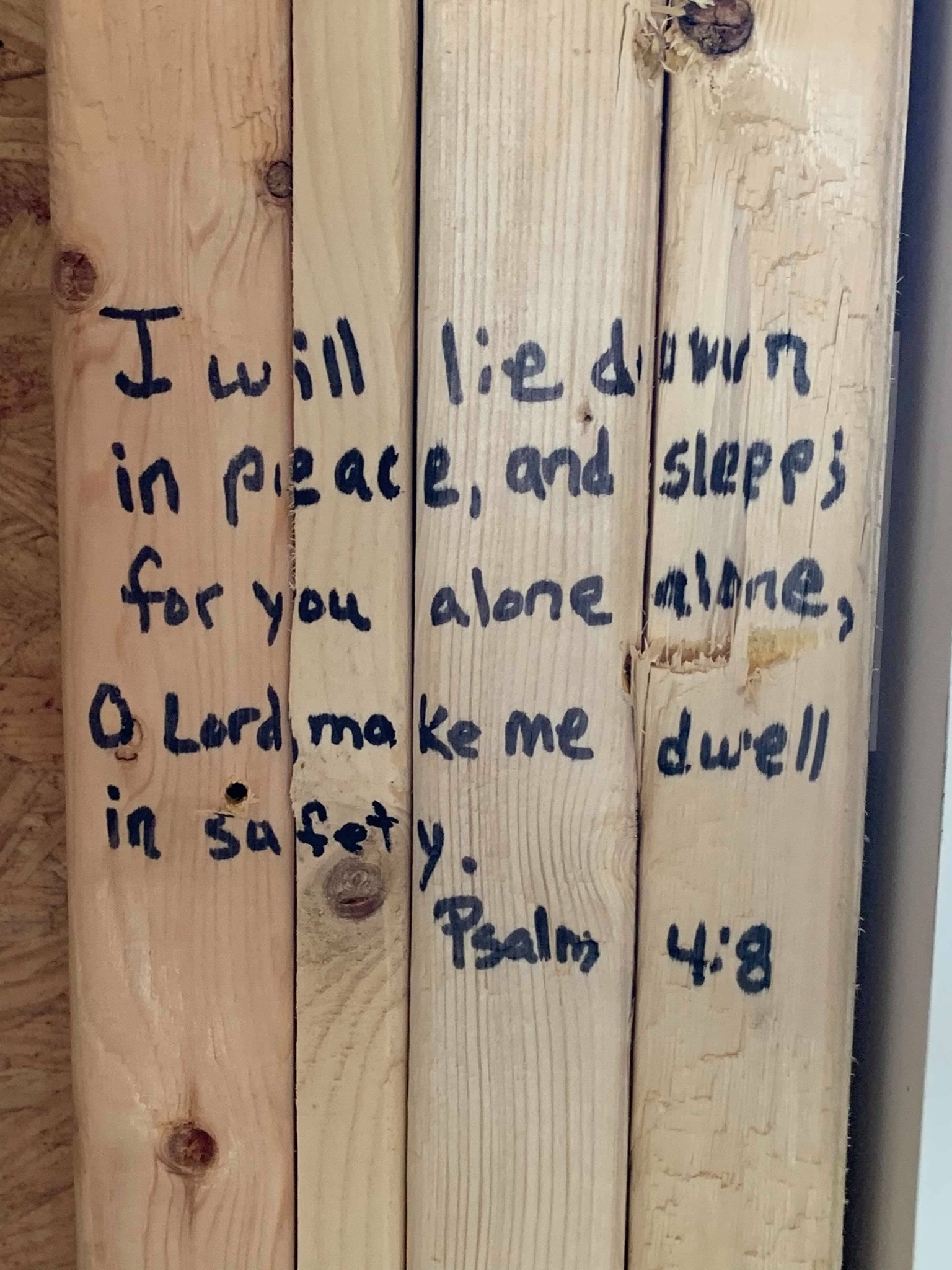 wall Handfuls Of Purpose