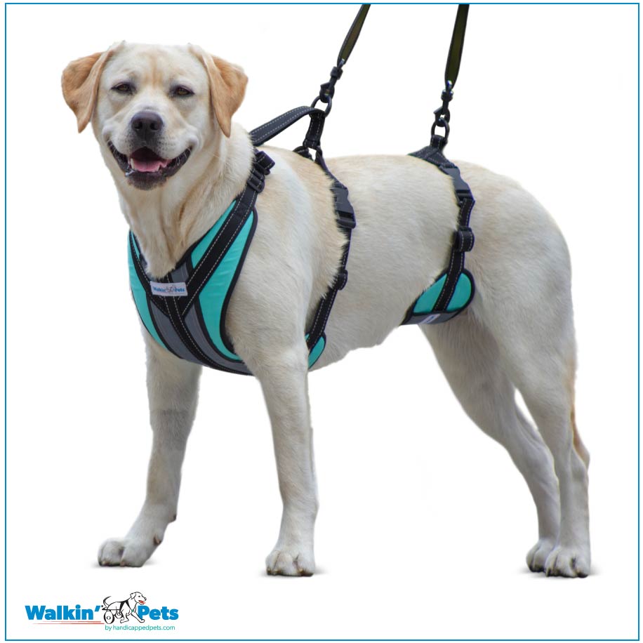 Walkin’ LiftNStep Harness Handicapped Pets Australia