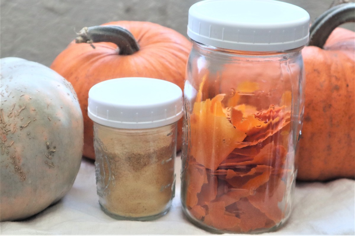 How to Dehydrate Pumpkin and Make Pumpkin Powder Hands and Feet Homestead