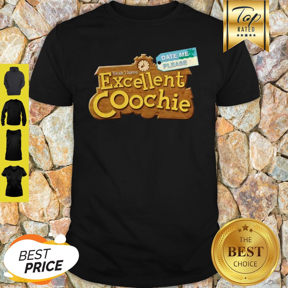 Date Me Please Yeah I Have Excellent Coochie Shirt