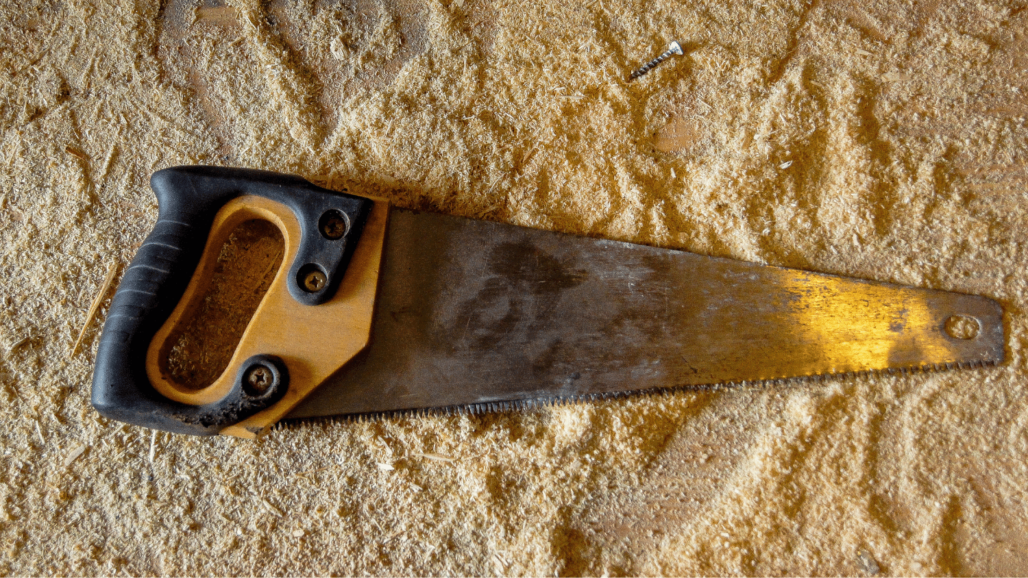 10 Best Hand Saw in 2024 Handyman Dream