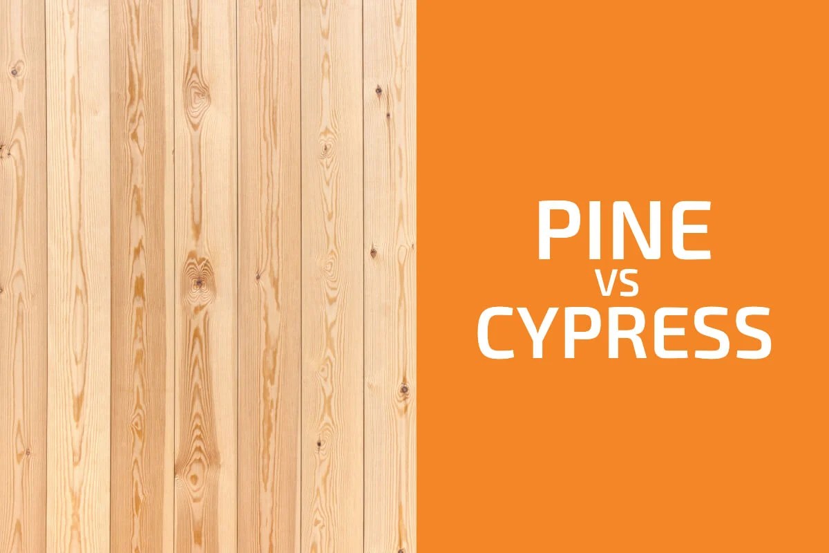 Pine vs. Cypress Which Wood to Use? Handyman's World