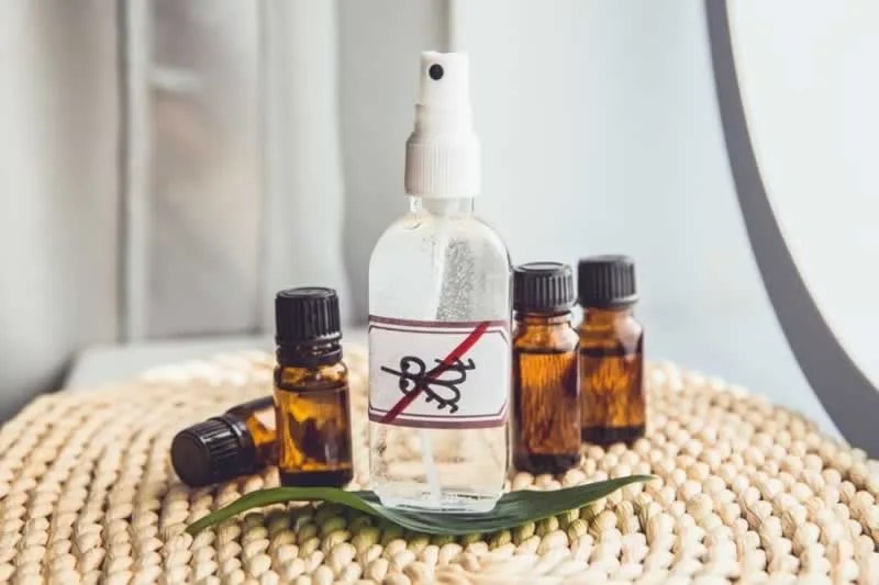 Top 15 Eco Friendly Pest Control Methods